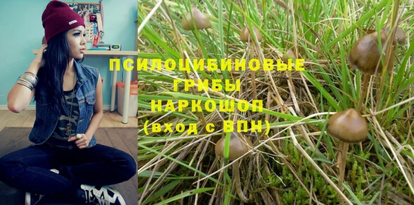 гидропоника Балабаново