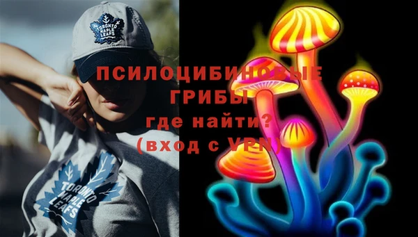 гидропоника Балабаново