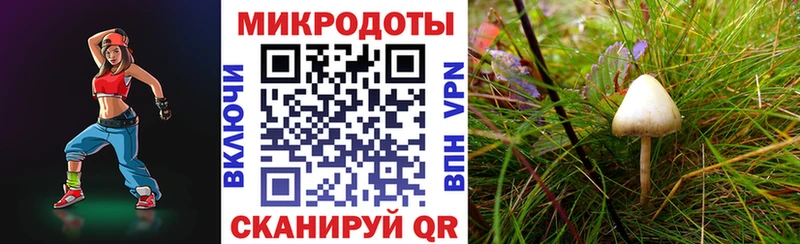 цена наркотик Чадан Псилоцибиновые грибы Cubensis